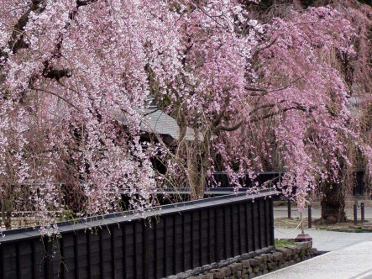 Tamachi Bukeyashiki Hotel - Vacation Stay 20163V Daisen (Akita) Exterior photo