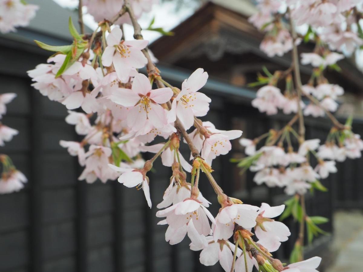 Tamachi Bukeyashiki Hotel - Vacation Stay 20163V Daisen (Akita) Exterior photo